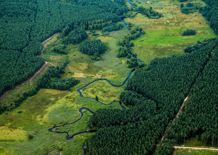 Ontbossingsverordening Kneppelhout advocaten advocatenkantoor