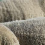 Latente ruimte veehouderijen