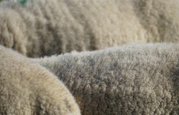 Latente ruimte veehouderijen