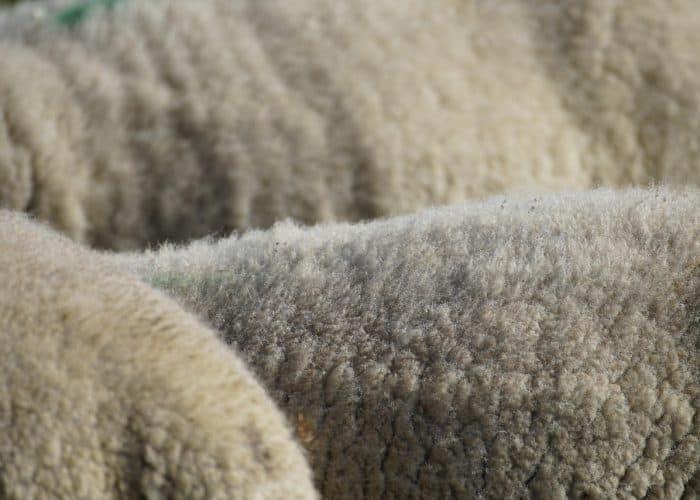 Latente ruimte veehouderijen