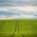 Pachtregeling omgevingsrecht