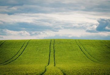 Pachtregeling omgevingsrecht