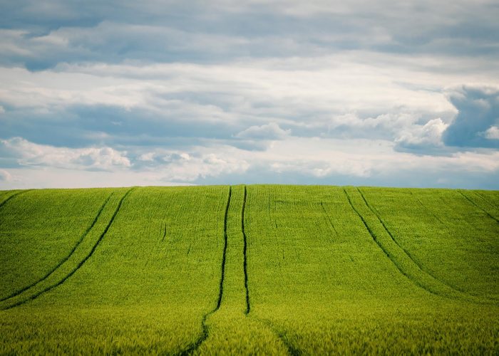 Pachtregeling omgevingsrecht