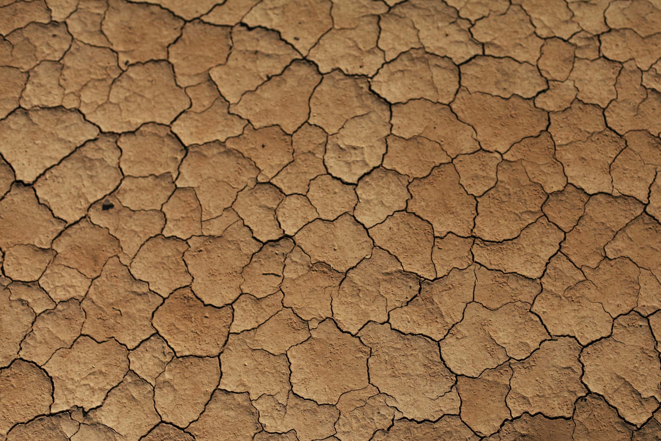 PFAS